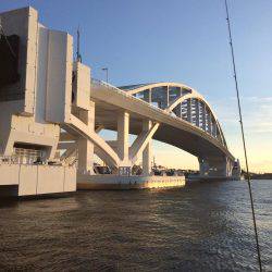 サイズだけはいいペラタチ笑