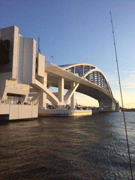 サイズだけはいいペラタチ笑