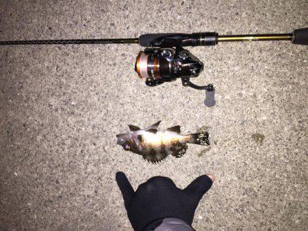 ライトゲーム島