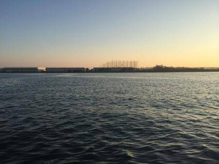 タチウオまだ居ました！