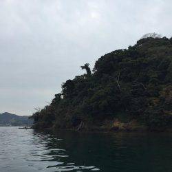 アオリイカの仕掛けなのに