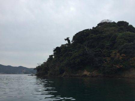 アオリイカの仕掛けなのに