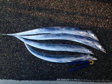 今年最後の刀狩り