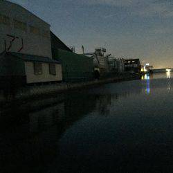 ベイトフィネスでチニング