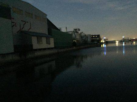 ベイトフィネスでチニング