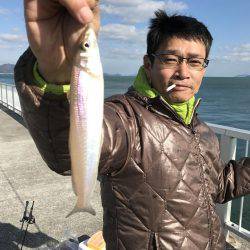 キス、イシモチ、カワハギ