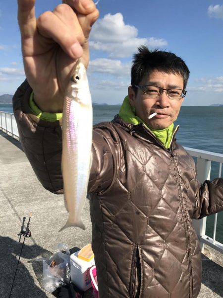 キス、イシモチ、カワハギ