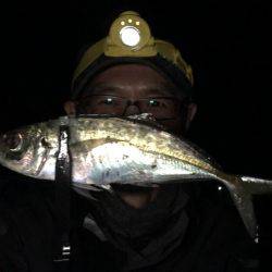 オールナイトアジング