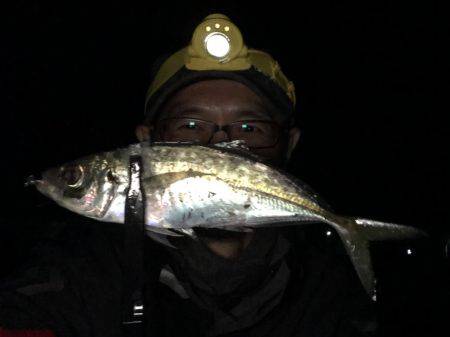 オールナイトアジング