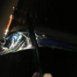 タッチー渋かった^^;