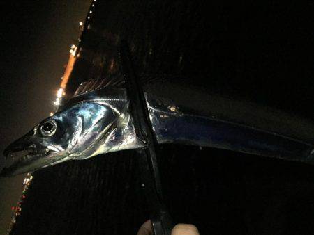 タッチー渋かった^^;