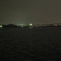 雨上がりのタイミングに(^o^)