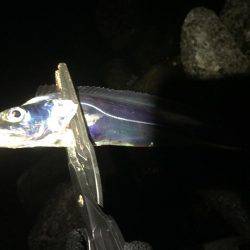 初ドラゴン〜〜まさかのバラシ(>_<)