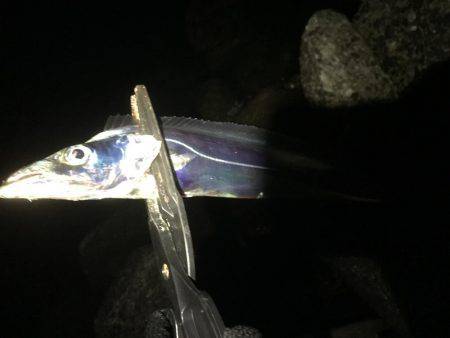 初ドラゴン〜〜まさかのバラシ(>_<)