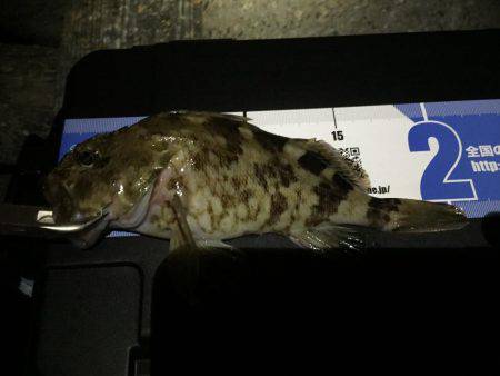 連日のガシリング(^.^)