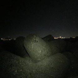 今年最後の釣り納め