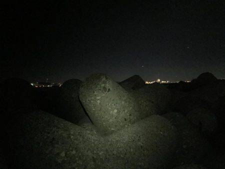 今年最後の釣り納め