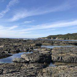 釣り三昧な連休でした