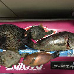 印南の伝馬船にて