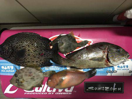 印南の伝馬船にて