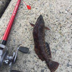 釣り納め穴釣り