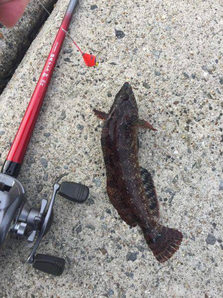 釣り納め穴釣り