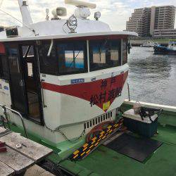 サゴシ累計51本目