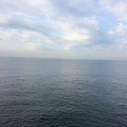 サゴシ累計54本目