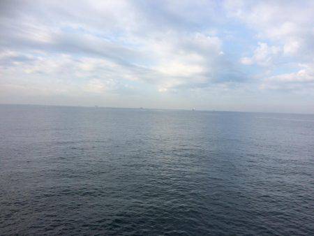 サゴシ累計54本目