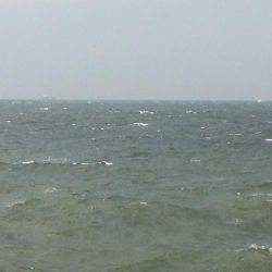 自分を食ったらアカンよ！