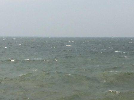 自分を食ったらアカンよ！