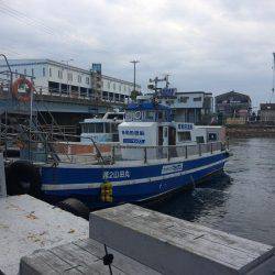 今年初のハマチ