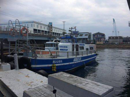 今年初のハマチ