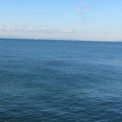 サゴシ累計56本目