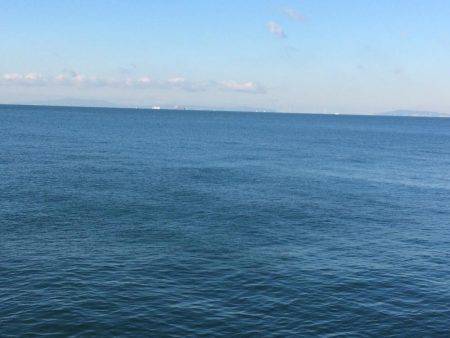 サゴシ累計56本目