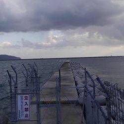 朝だけ短時間釣行