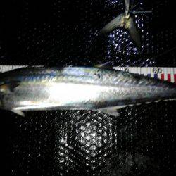 初めてのジギング船