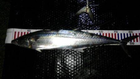 初めてのジギング船