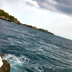 潮岬でグレ釣り