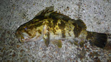 いい釣り納めになりました♪