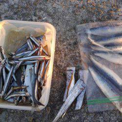 かろうじて一本・・・