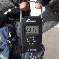 クラーケン！でいいですか？