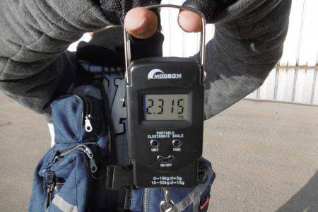 クラーケン！でいいですか？