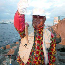 6回目の東二見落ちギス釣行は撃沈