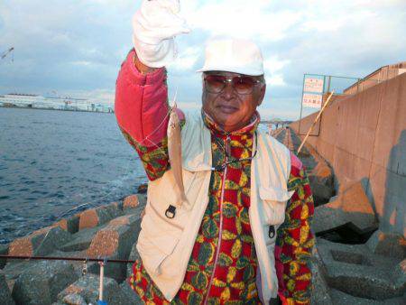 6回目の東二見落ちギス釣行は撃沈