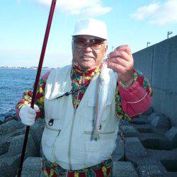 まだ釣れる二見人工島のキス