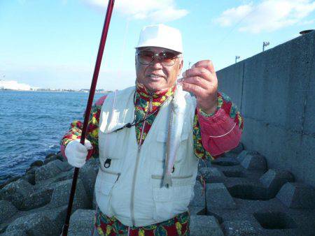 まだ釣れる二見人工島のキス