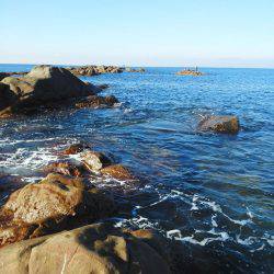 こんなん出ました・・・pt4