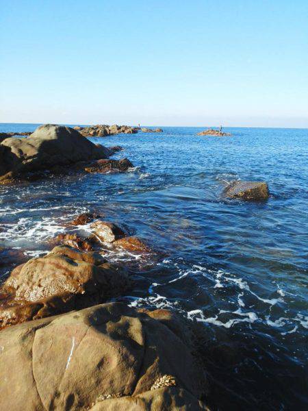 こんなん出ました・・・pt4