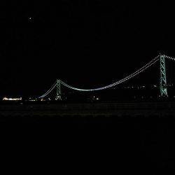 今年最後の小アジ釣り